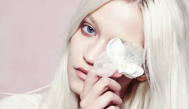 Pastel Passion