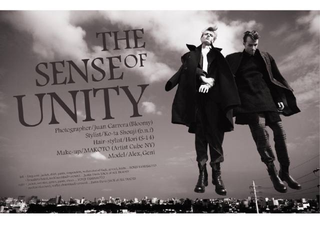 The Sense of Unity